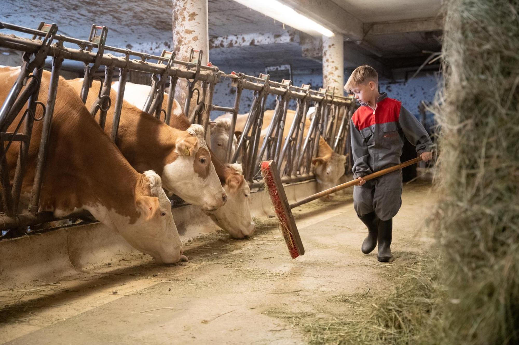 Elslerhof Leilighet Dobbiaco Eksteriør bilde